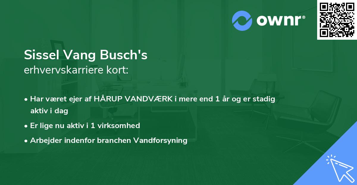 Sissel Vang Busch's erhvervskarriere kort
