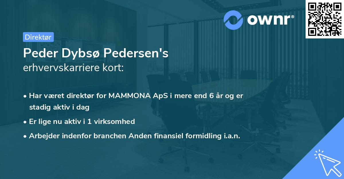 Peder Dybsø Pedersen's erhvervskarriere kort