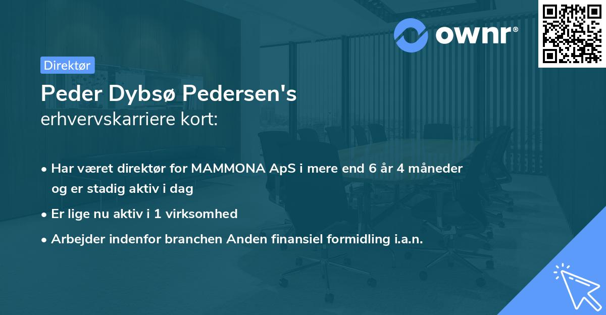Peder Dybsø Pedersen's erhvervskarriere kort