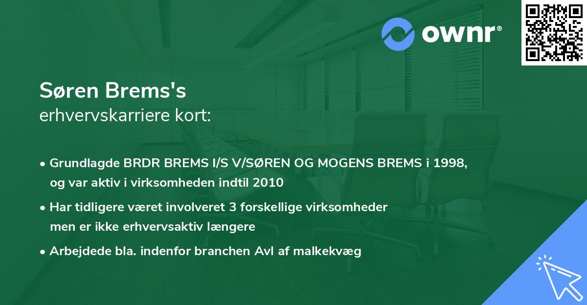 Søren Brems's erhvervskarriere kort