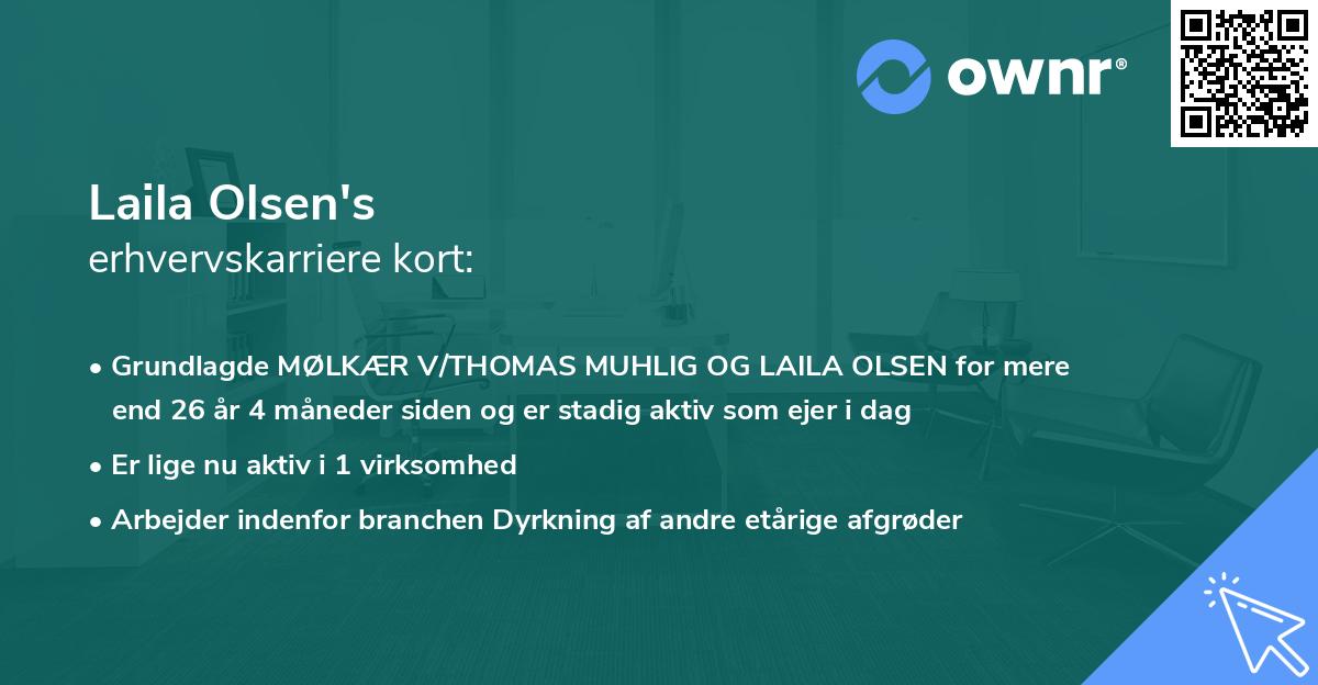 Laila Olsen's erhvervskarriere kort