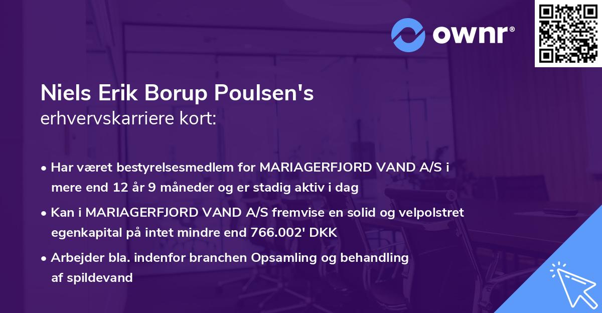 Niels Erik Borup Poulsen's erhvervskarriere kort
