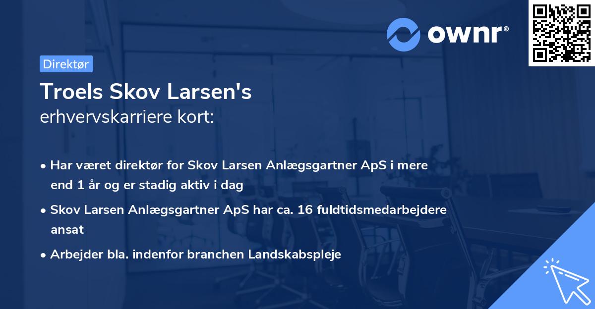 Troels Skov Larsen's erhvervskarriere kort