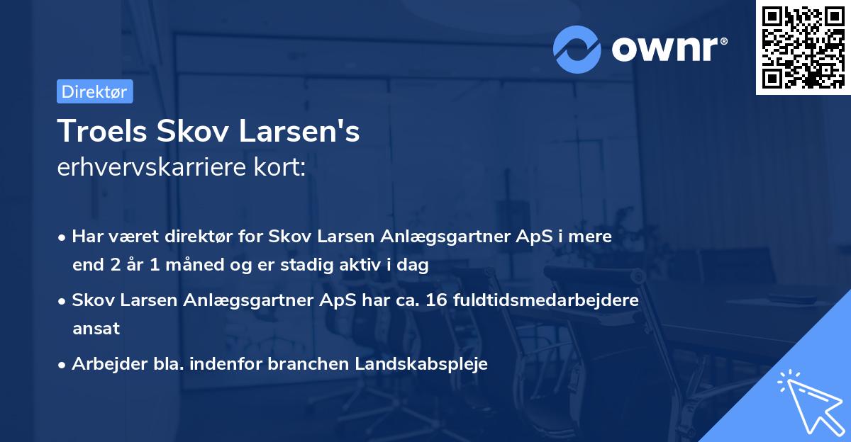 Troels Skov Larsen's erhvervskarriere kort