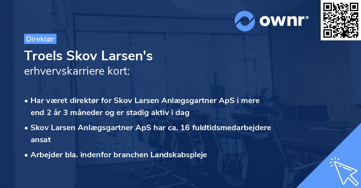 Troels Skov Larsen's erhvervskarriere kort