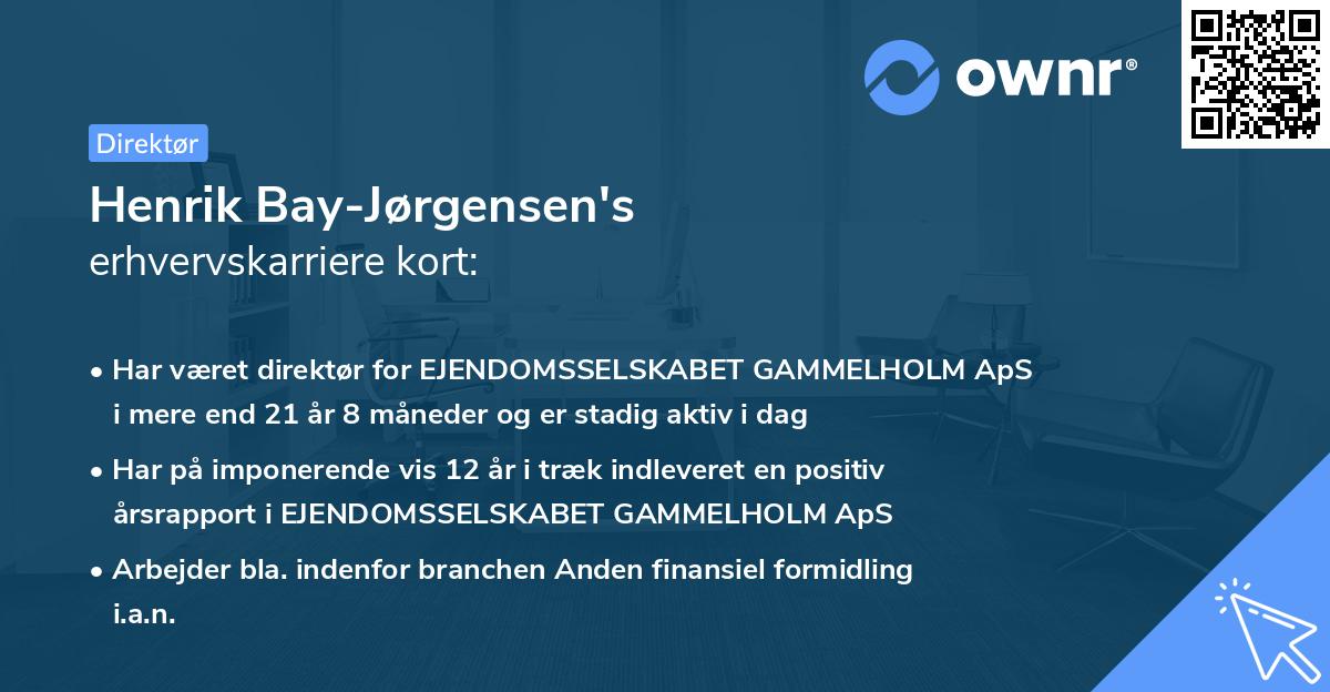 Henrik Bay-Jørgensen's erhvervskarriere kort