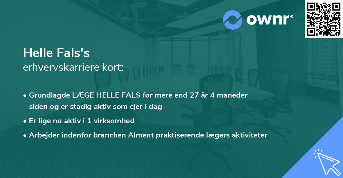 Helle Fals's erhvervskarriere kort