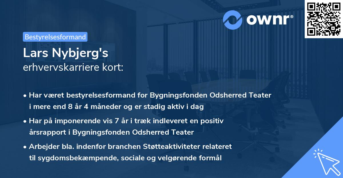 Lars Nybjerg's erhvervskarriere kort