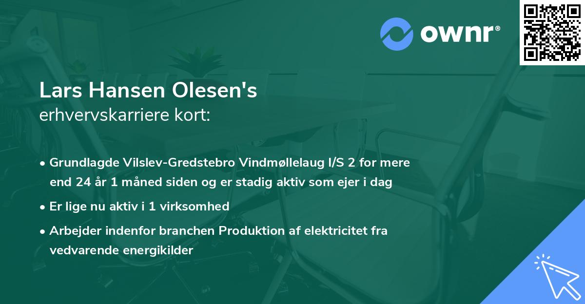 Lars Hansen Olesen's erhvervskarriere kort