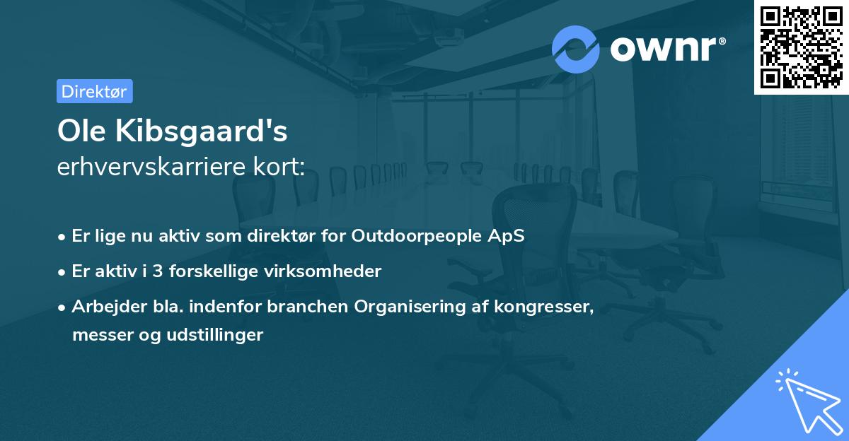 Ole Kibsgaard's erhvervskarriere kort