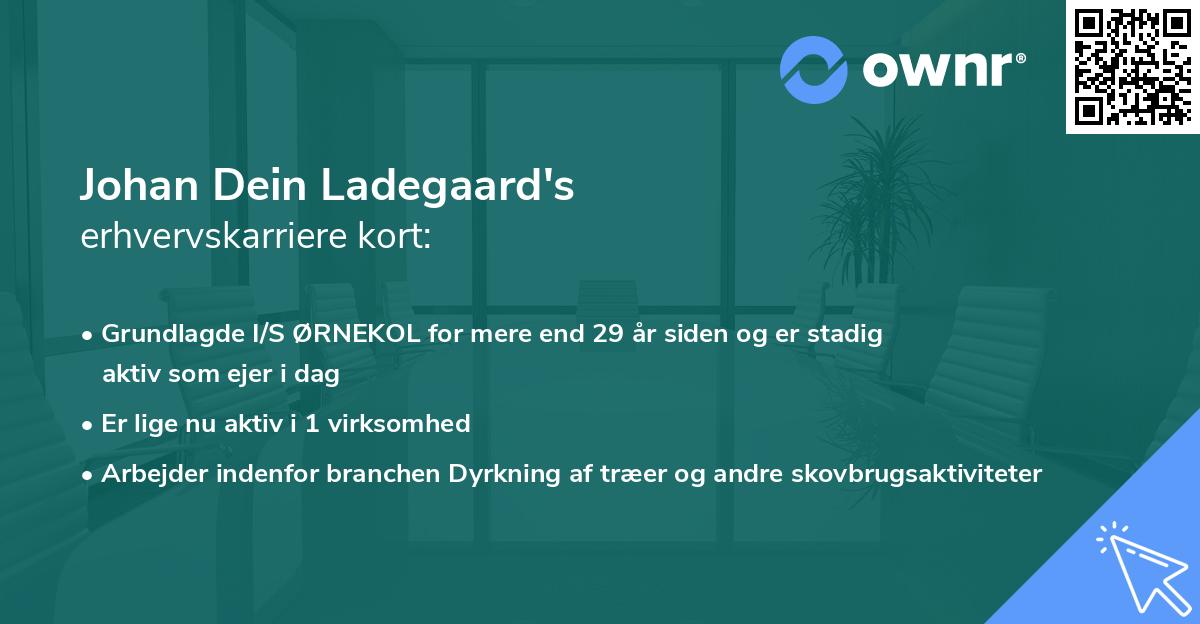 Johan Dein Ladegaard's erhvervskarriere kort
