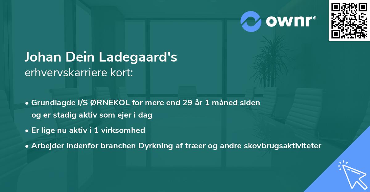 Johan Dein Ladegaard's erhvervskarriere kort