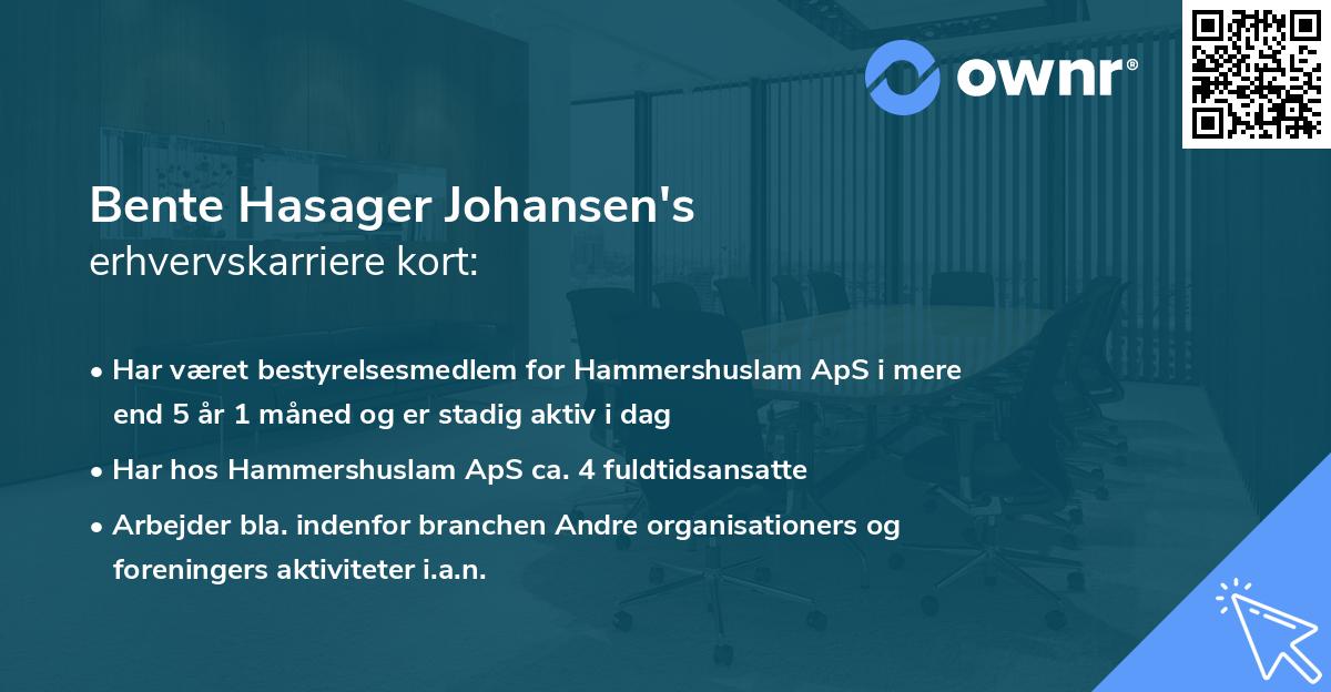 Bente Hasager Johansen's erhvervskarriere kort