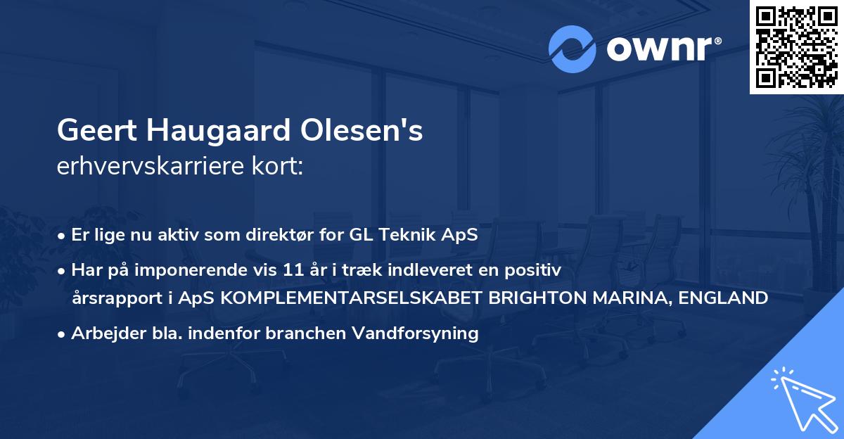 Geert Haugaard Olesen's erhvervskarriere kort