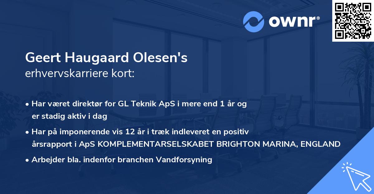 Geert Haugaard Olesen's erhvervskarriere kort