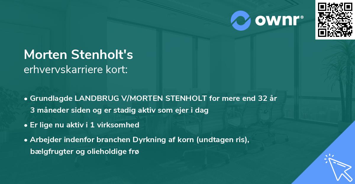 Morten Stenholt's erhvervskarriere kort
