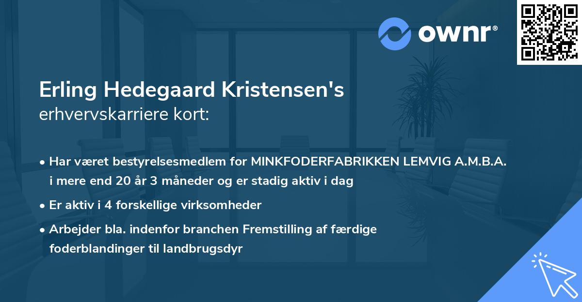 Erling Hedegaard Kristensen's erhvervskarriere kort