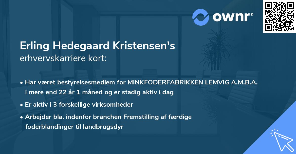 Erling Hedegaard Kristensen's erhvervskarriere kort