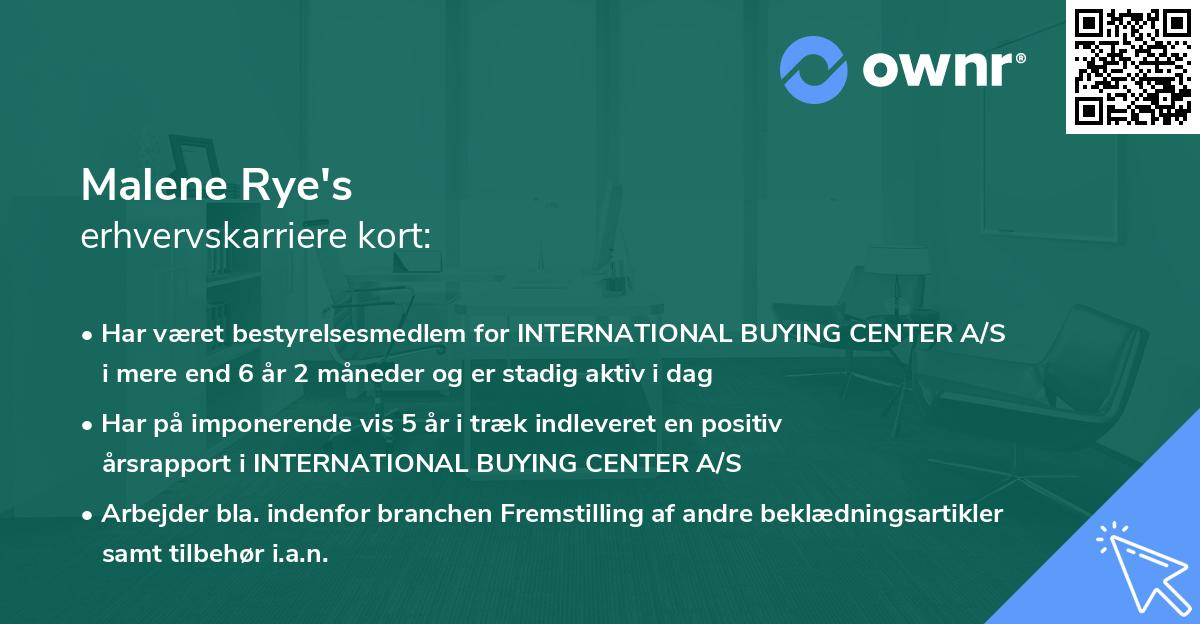 Malene Rye's erhvervskarriere kort