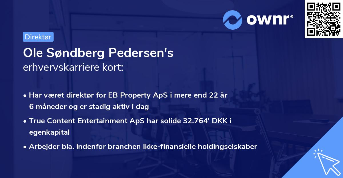 Ole Søndberg Pedersen's erhvervskarriere kort