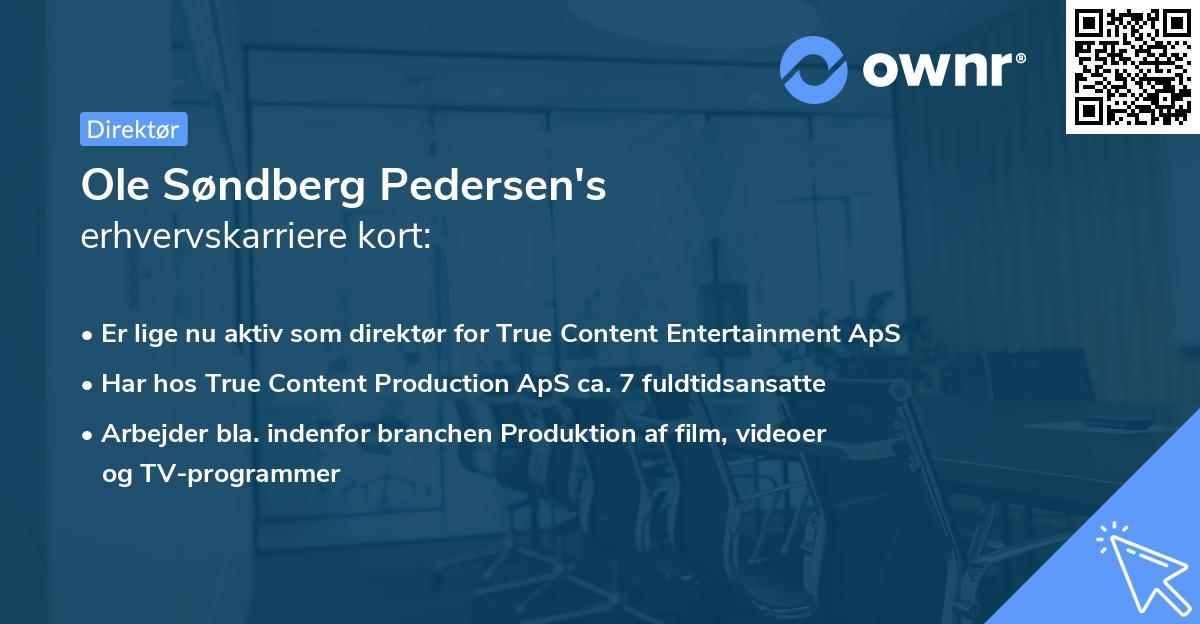 Ole Søndberg Pedersen's erhvervskarriere kort
