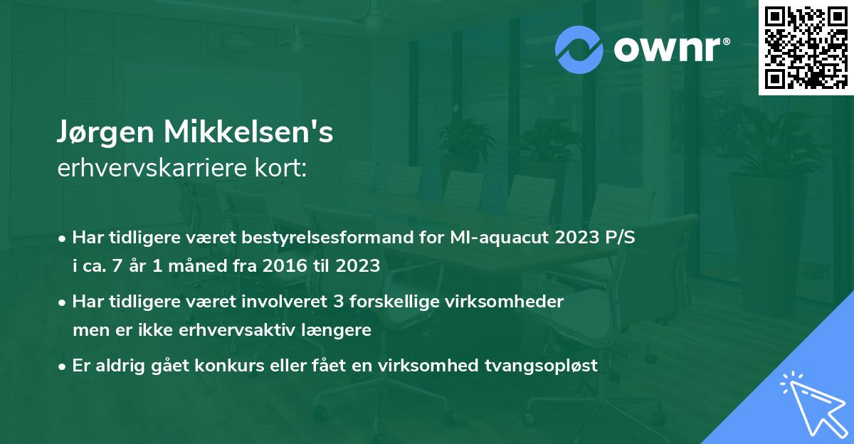 Jørgen Mikkelsen's erhvervskarriere kort