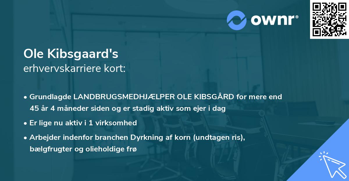 Ole Kibsgaard's erhvervskarriere kort