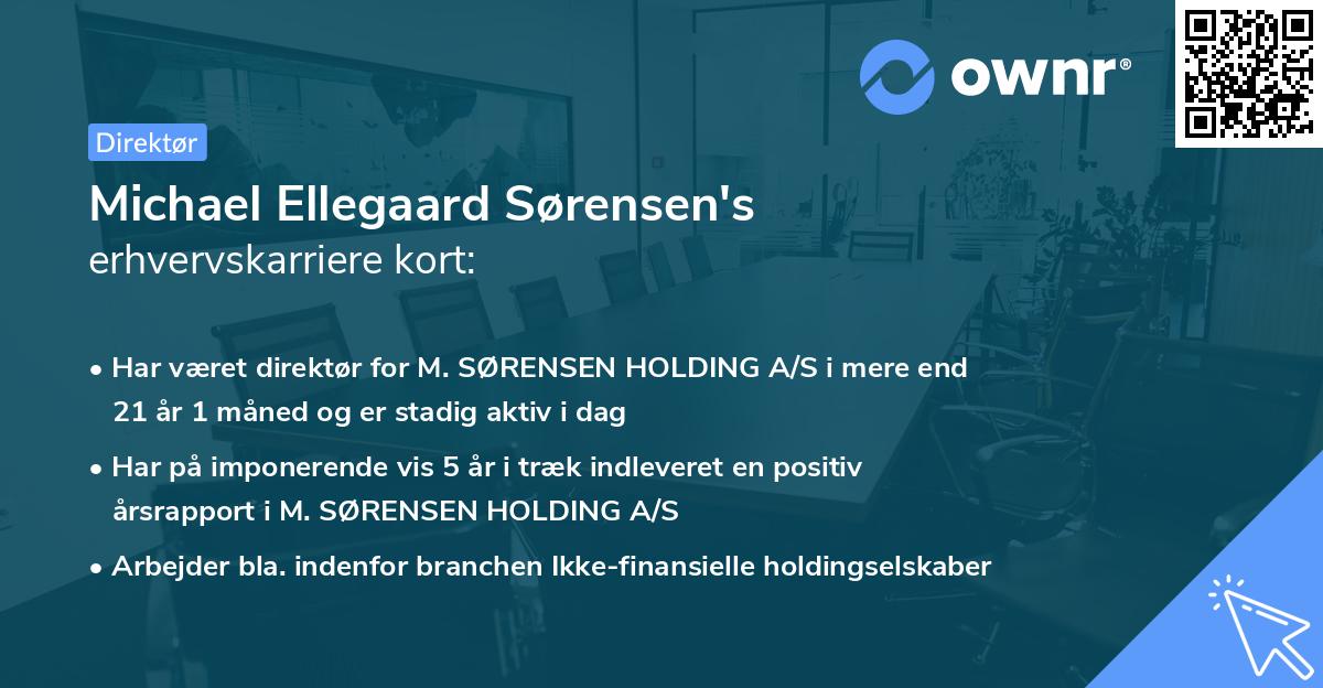 Michael Ellegaard Sørensen's erhvervskarriere kort