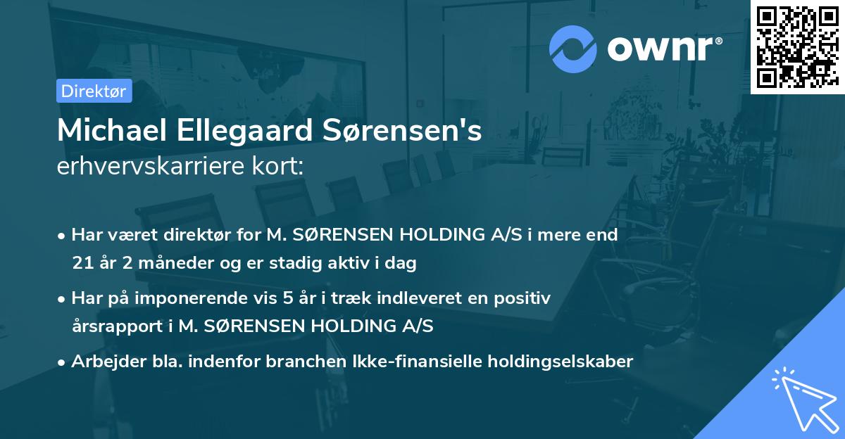 Michael Ellegaard Sørensen's erhvervskarriere kort