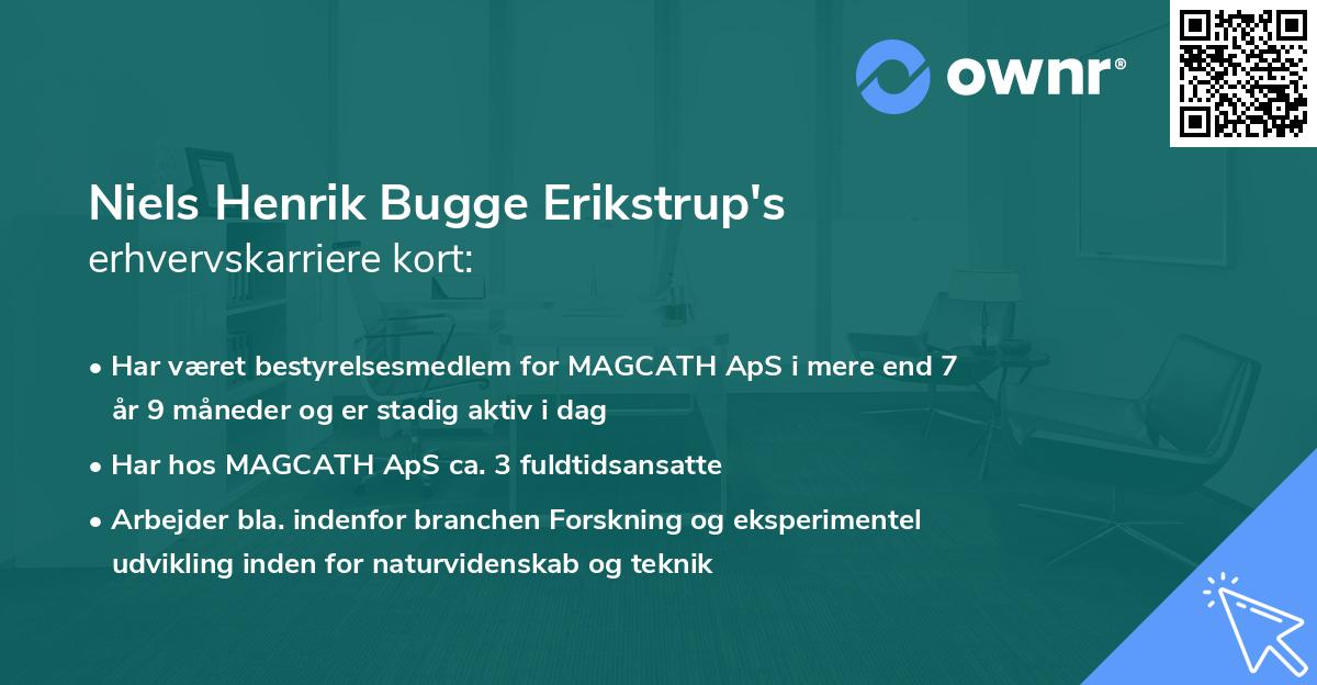 Niels Henrik Bugge Erikstrup's erhvervskarriere kort