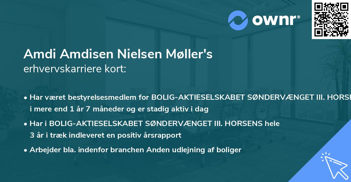 Amdi Amdisen Nielsen Møller's erhvervskarriere kort