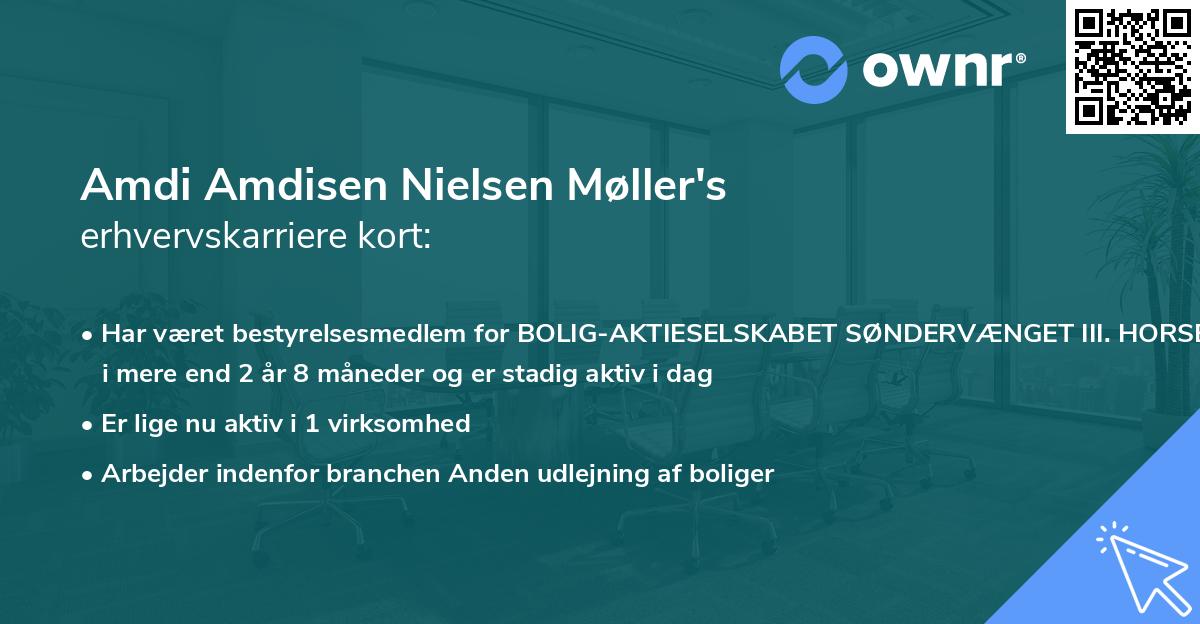 Amdi Amdisen Nielsen Møller's erhvervskarriere kort
