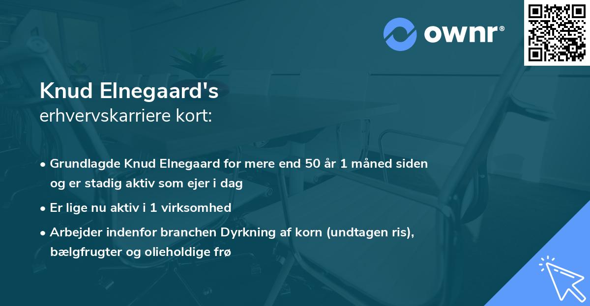 Knud Elnegaard's erhvervskarriere kort