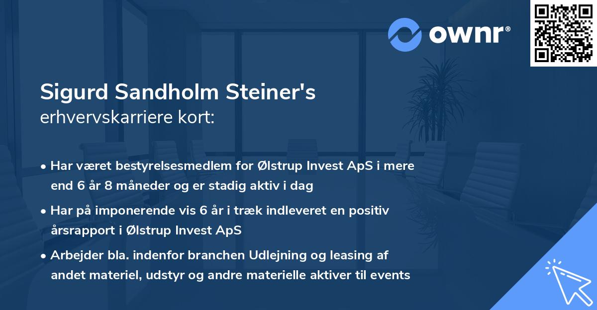 Sigurd Sandholm Steiner's erhvervskarriere kort