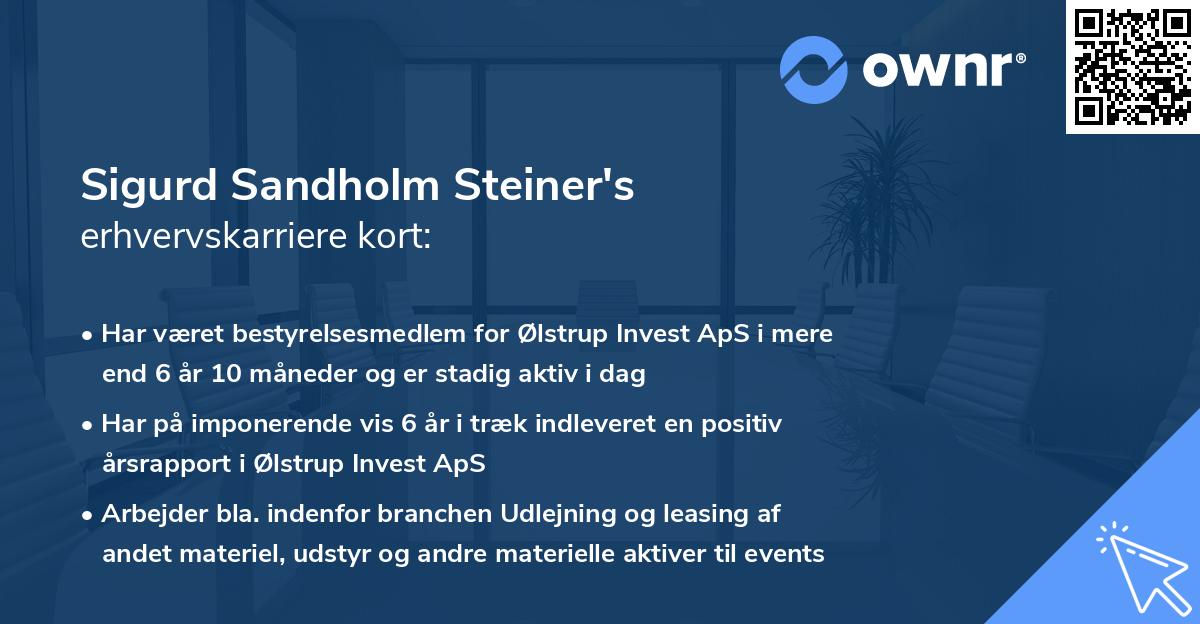 Sigurd Sandholm Steiner's erhvervskarriere kort