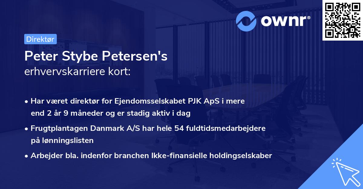 Peter Stybe Petersen's erhvervskarriere kort