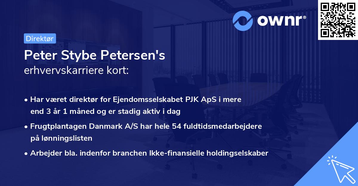 Peter Stybe Petersen's erhvervskarriere kort
