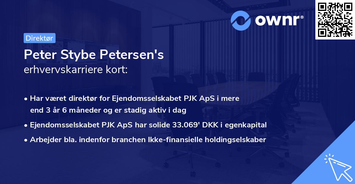 Peter Stybe Petersen's erhvervskarriere kort