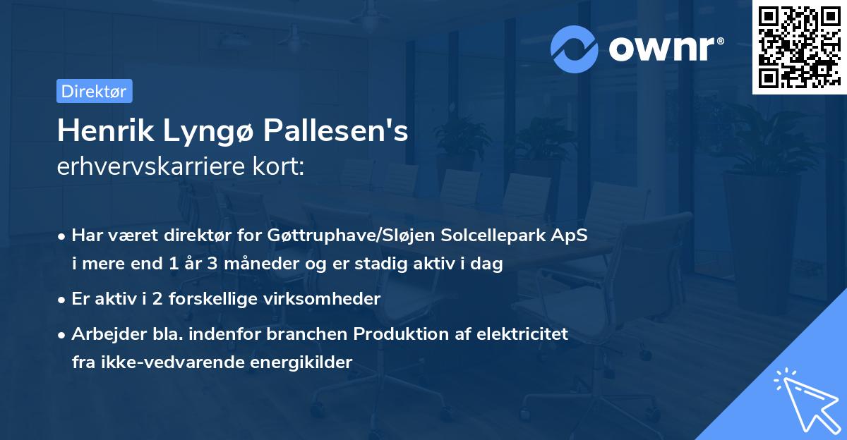 Henrik Lyngø Pallesen's erhvervskarriere kort