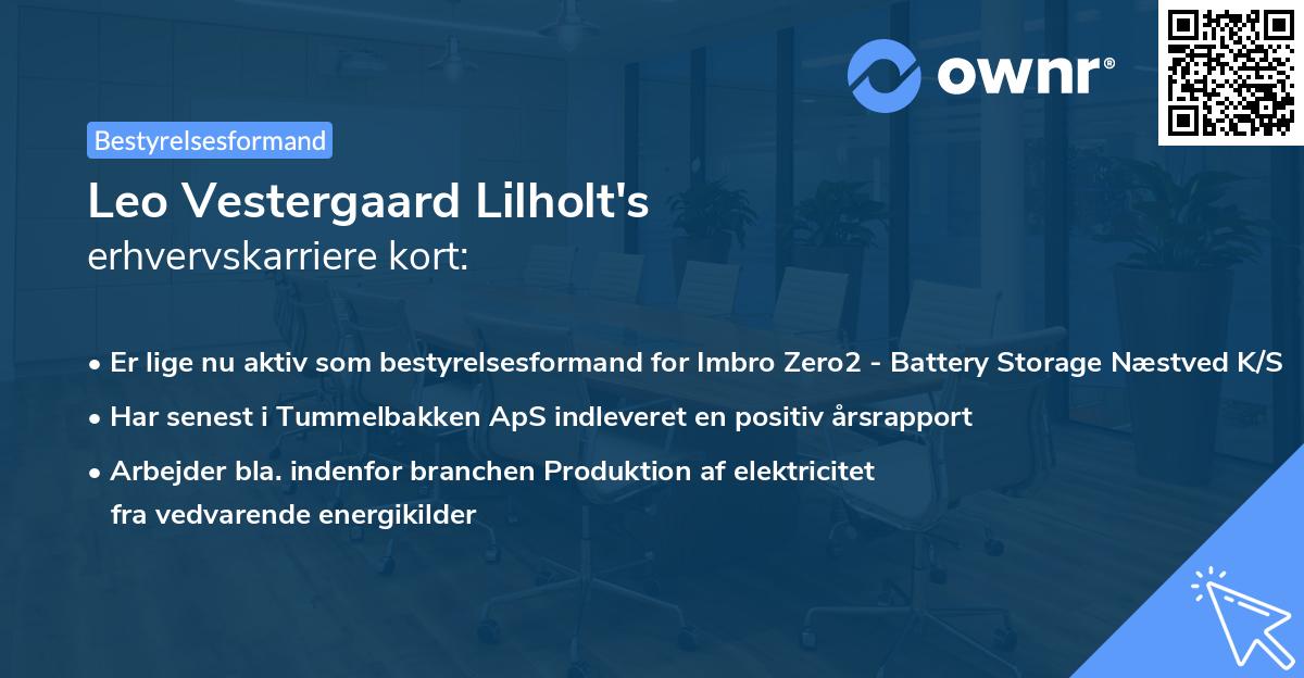 Leo Vestergaard Lilholt's erhvervskarriere kort