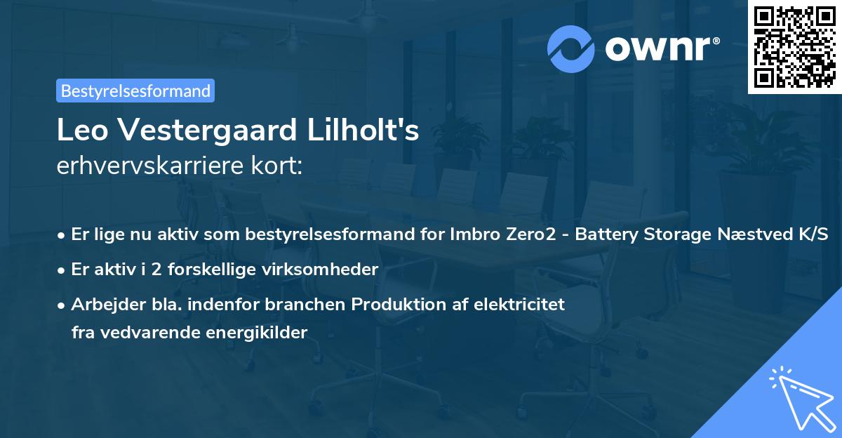 Leo Vestergaard Lilholt's erhvervskarriere kort