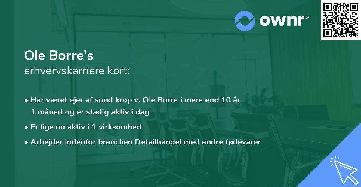Ole Borre's erhvervskarriere kort