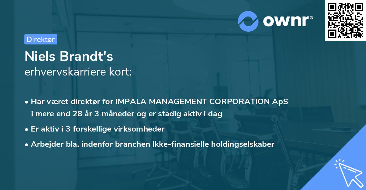 Niels Brandt's erhvervskarriere kort