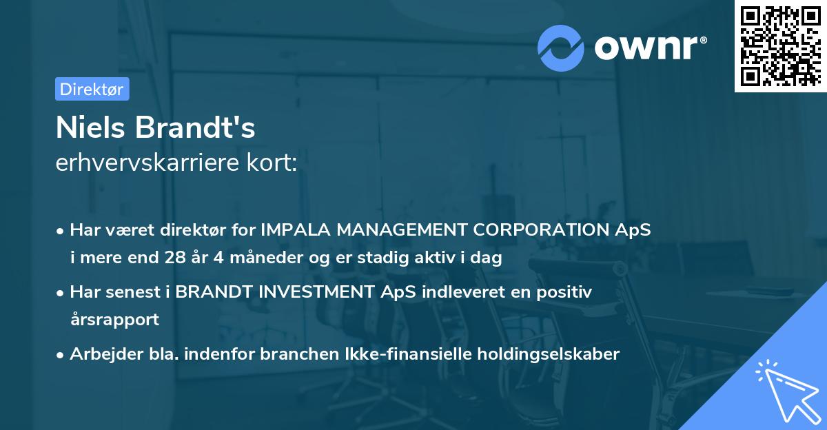 Niels Brandt's erhvervskarriere kort