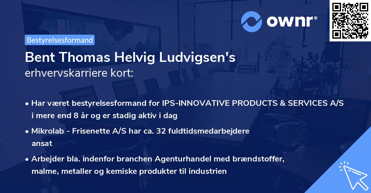 Bent Thomas Helvig Ludvigsen's erhvervskarriere kort