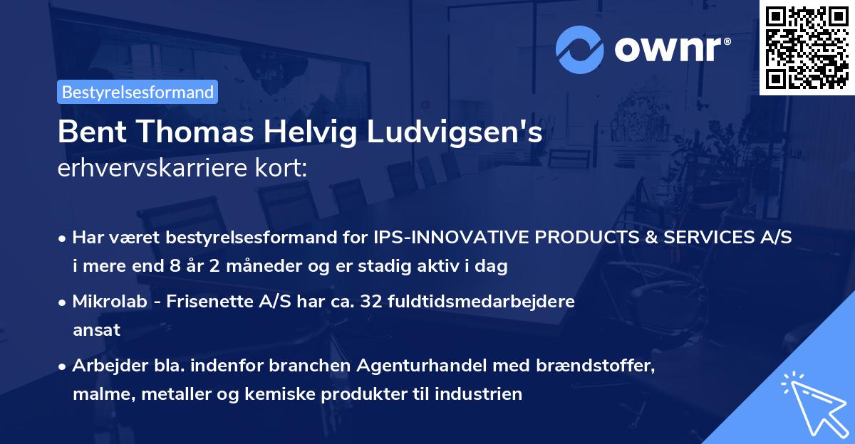 Bent Thomas Helvig Ludvigsen's erhvervskarriere kort