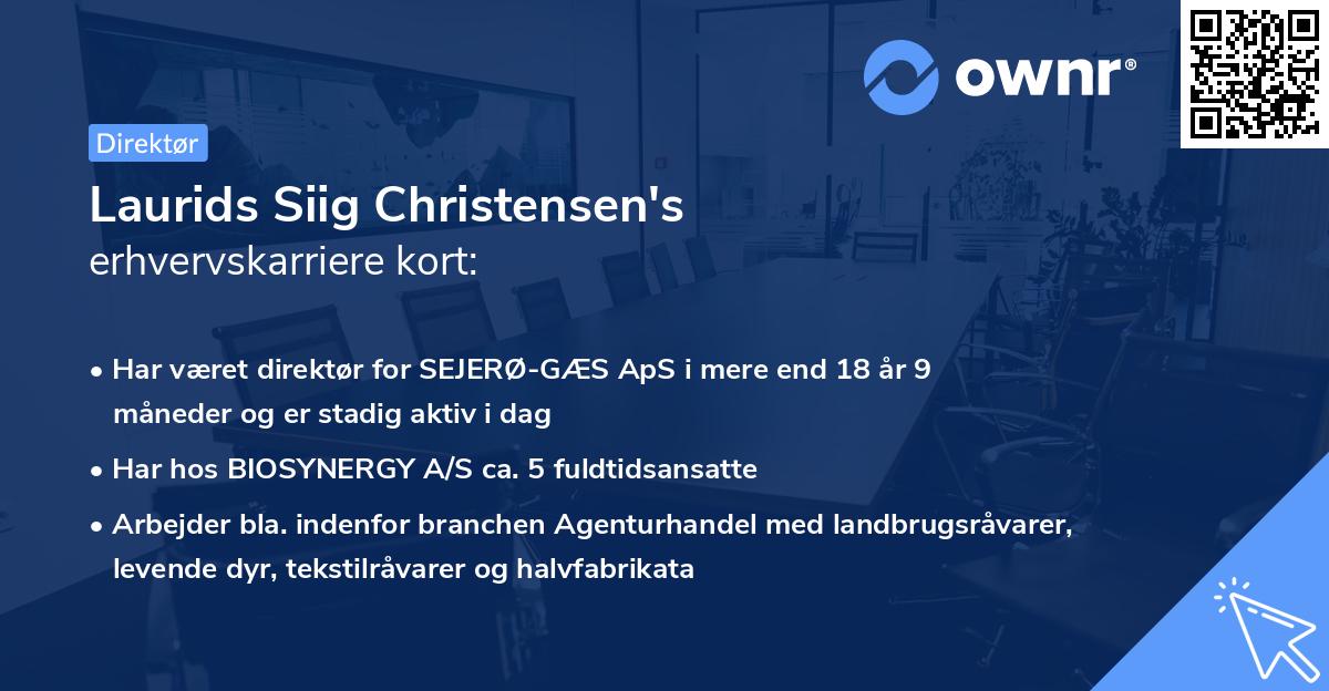 Laurids Siig Christensen's erhvervskarriere kort