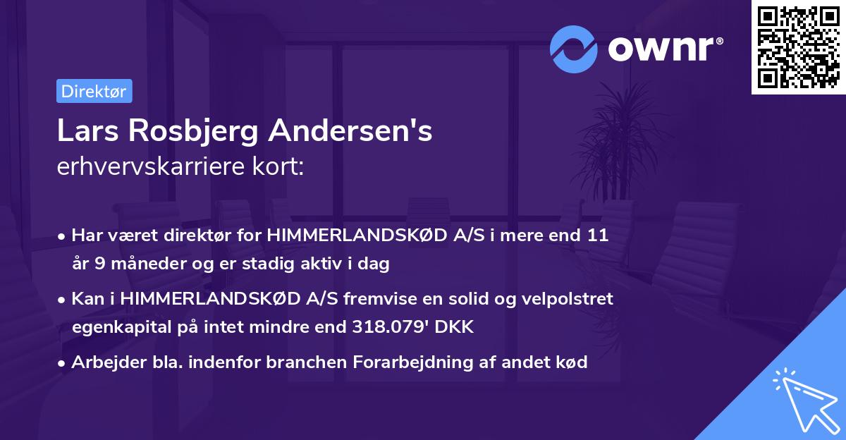 Lars Rosbjerg Andersen's erhvervskarriere kort