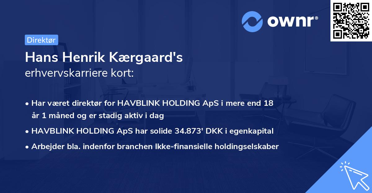 Hans Henrik Kærgaard's erhvervskarriere kort