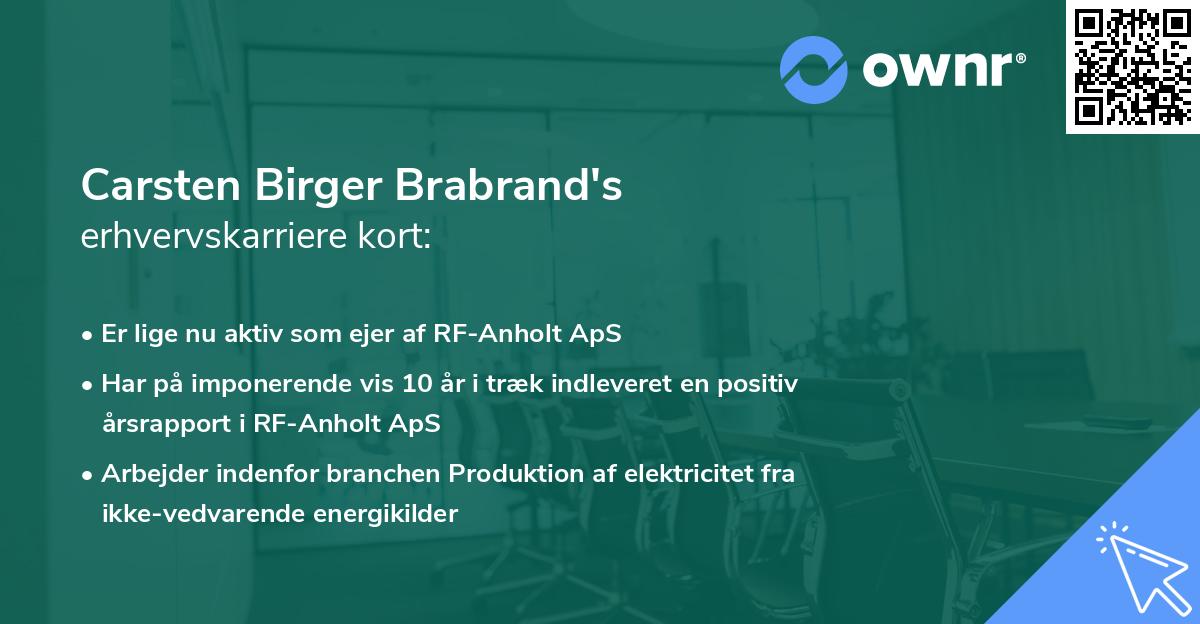 Carsten Birger Brabrand's erhvervskarriere kort